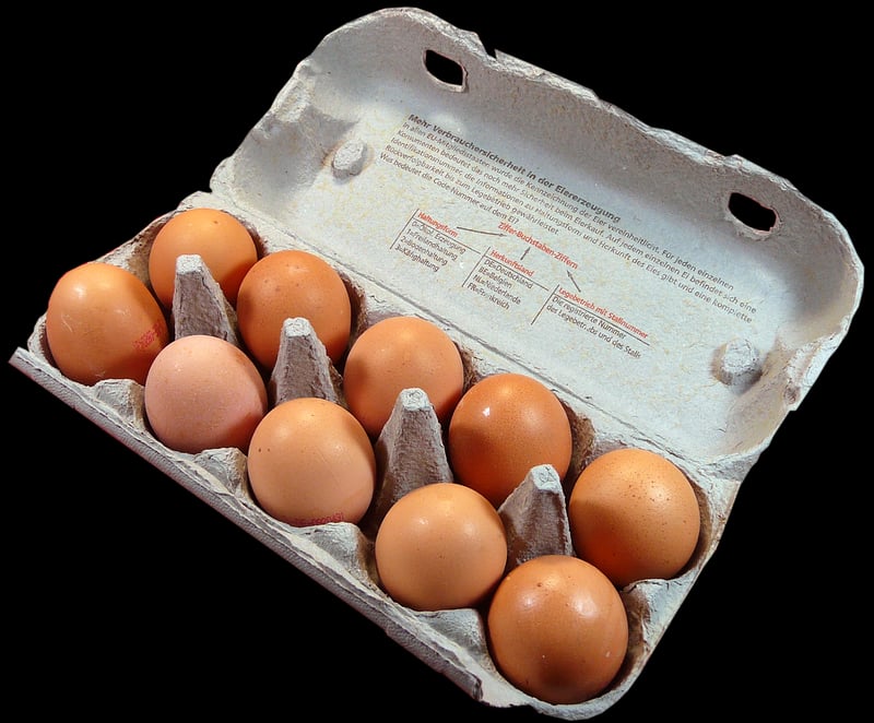 Egg Carton Caterpillar